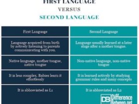 第一语言和第二语言之间的差异